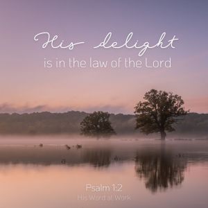 Psalm 1:2 KJV