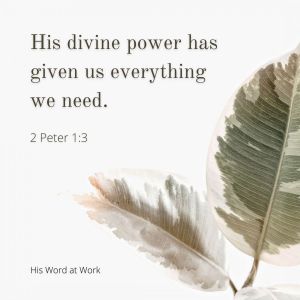 2 Peter 1:3 ISV