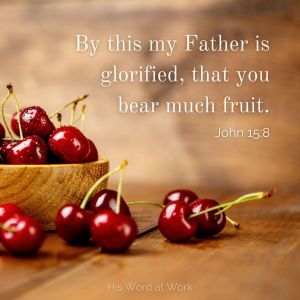 John 15:8 ESV