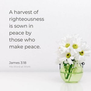 James 3:18 ESV