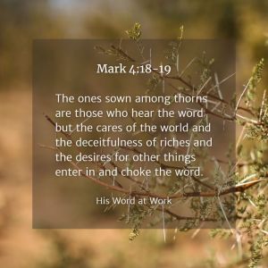 Mark 4:18-19 ESV