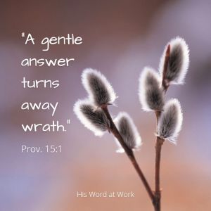 Proverbs 15:1 NIV