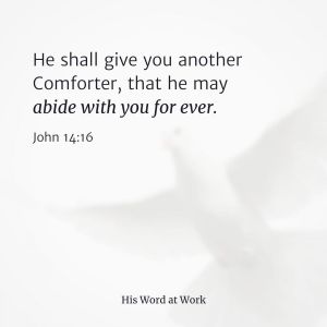 John 14:16 KJV