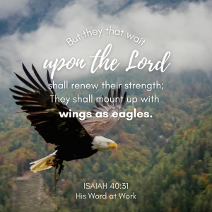 Isaiah 40:31 KJV