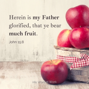 John 15:8 KJV