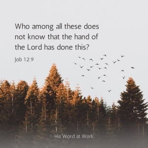 Job 12:9 ESV