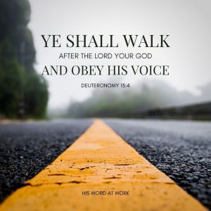 Deuteronomy 15:4 KJV
